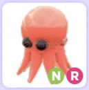 Nr octopus 6.5 value