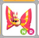 Nr Rosy Maple Moth en ucuz Nr Rosy Maple Moth en ucuz