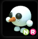 NR SNOW BALL