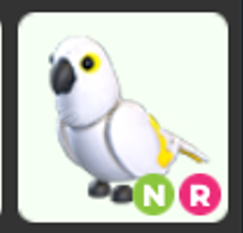 Nr White Amazon En Ucuz Nr White Amazon En Ucuz