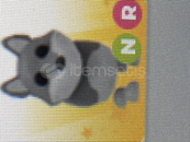 Nr Wolf Amp Nr Wolf Amp