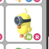 NR zodiac minion chick