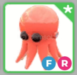 Octopus FR