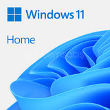 OEM Windows 11 Home (Online Aktivasyon)