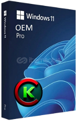 OEM | Windows 11 Pro OEM (Bind) Lisans Anahtarı