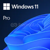 OEM Windows 11 Pro (Online Aktivasyon)