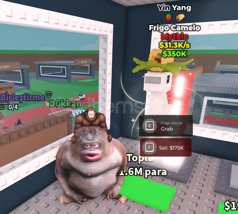 ⭐OG Eventli Frigo camelo⭐ ⭐OG Eventli Frigo camelo⭐