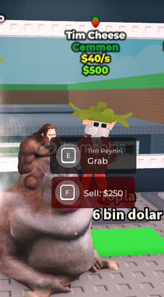 ⭐OG Eventli Tim cheese⭐ ⭐OG Eventli Tim cheese⭐