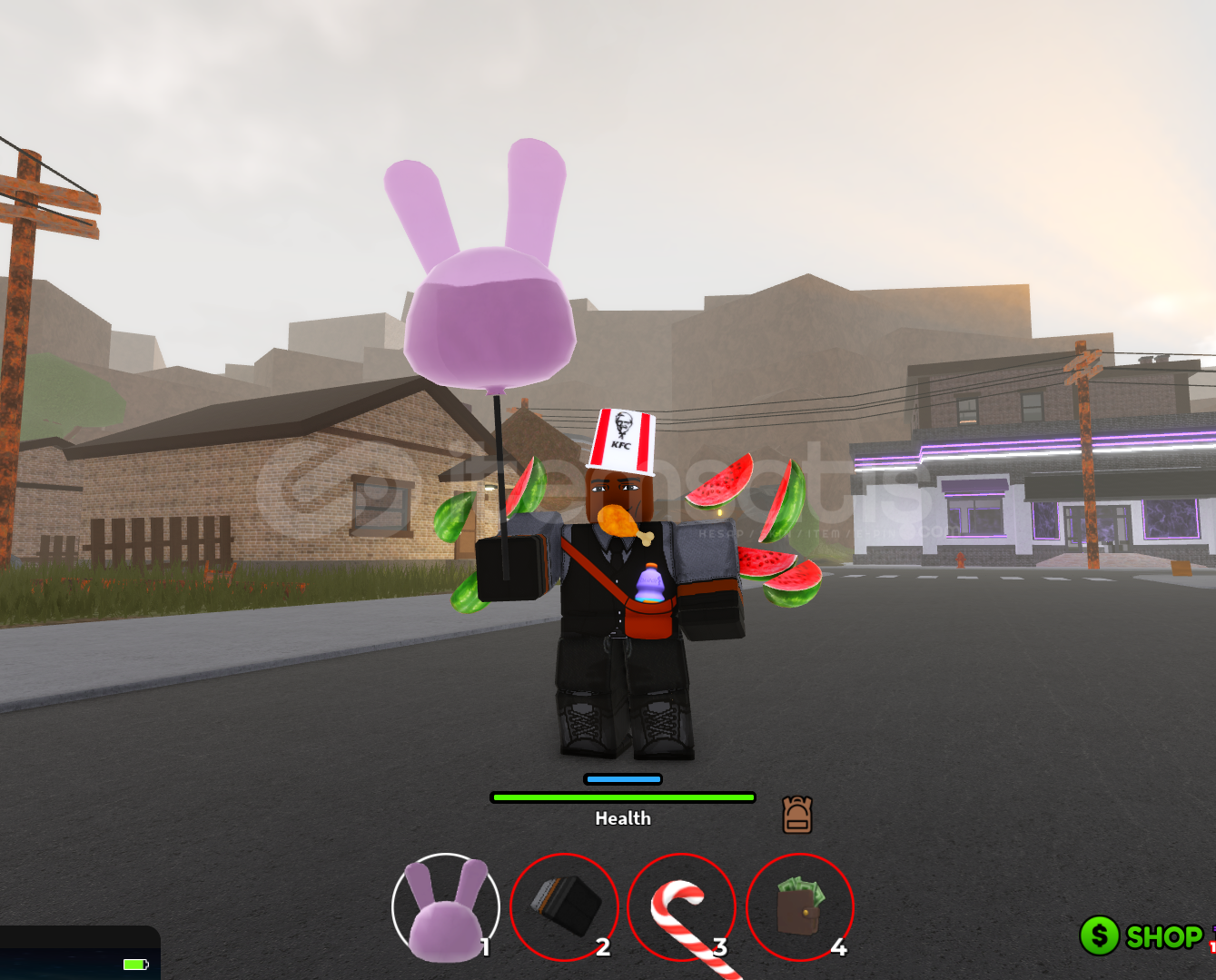 Ohio/ Bunny Baloon Ohio/ Bunny Baloon