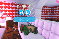 BU FİYATA OLD TREXİ BULAMAZSSINIZ!!!