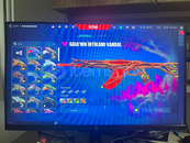 Ömürlük hesap / Mainlemelik dopdolu hesap