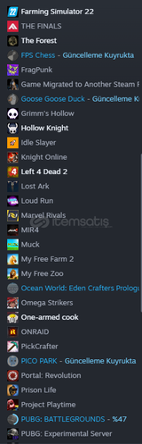 Ömürlük Steam Hesabı