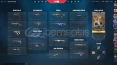 ÖMÜRLÜK VALORANT HESABI