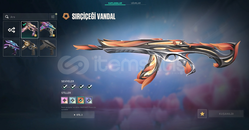 Orta Şeker valo hesabı