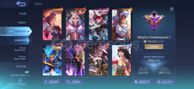 Ortalama bayan hesabı