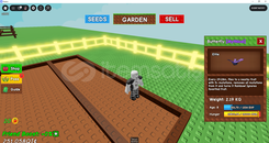 Ortalama boyutta butterfly(kelebek) peti