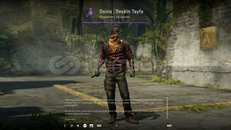 ✨Osiris - Seçkin Tayfa Ajan 1 Yamalı✨