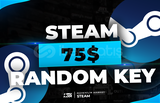 ⭐Oto Teslim | 75$ [3000 TL] Steam Key⭐