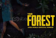 ⭐Oto / The Forest + GARANTİ