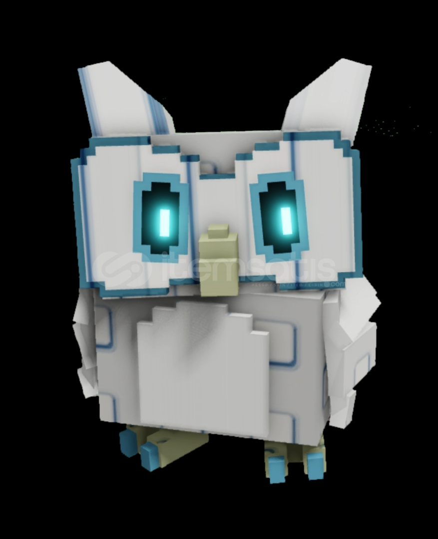 Owl Pet Owl Pet