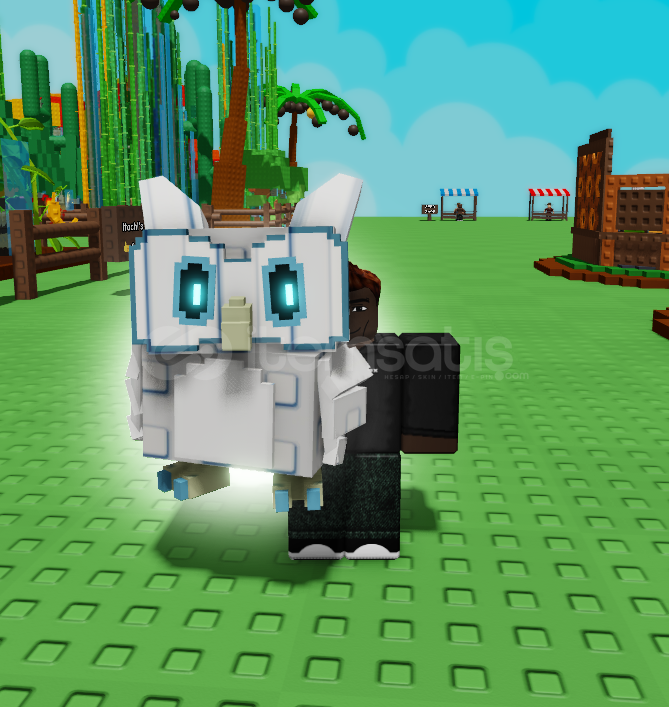 Owl (4.00 KG) (Age 25) Owl (4.00 KG) (Age 25)