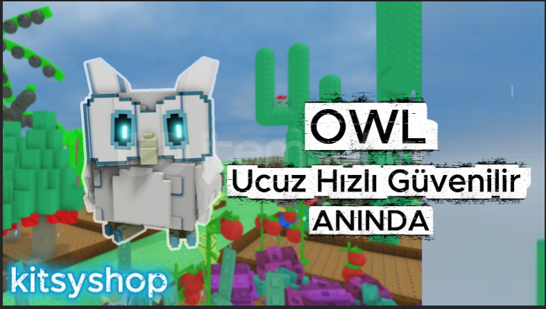 Owl En Ucuz Hızlı Owl En Ucuz Hızlı