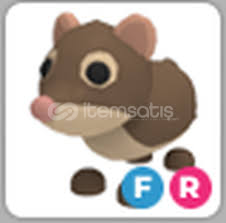 OYUN KALKMIŞ DEĞERLİ PET FR SHREW OYUN KALKMIŞ DEĞERLİ PET FR SHREW