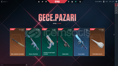 özel harekat kelebek 2237vp mail onaysız