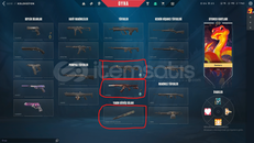 ÖZEL HAREKAT KELEBEKLİ EFFSANE MAİNLİK HESAPS