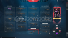 ÖZEL HAREKAT KELEBEKLİ TR SERVER MAİLLİ HESAP!!