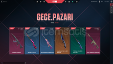 özel harekat phantom 1012vp