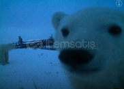 Özel ilan gruptan 1k robux Özel ilan gruptan 1k robux