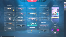 ✨ÖZEL İSTEK PARÇALI VALORANT HESABI