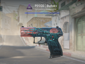 P2000 | Budaklı (Görevde Kullanılmış)