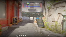 P250 | Eşanjör