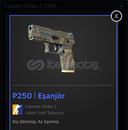 P250 | Eşanjör (Az Aşınmış)