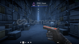 P250 | Kaset
