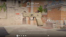P250 / KUMUL EN UYGUN FİYAT FT
