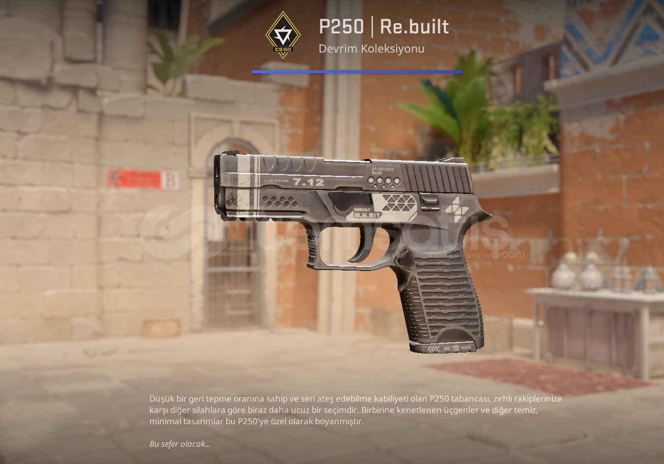 P250 Rebuilt  P250 Rebuilt