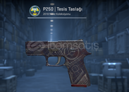 P250 | Tesis Taslağı