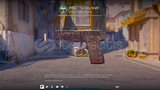 P250 | Tesis Taslağı 