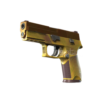 P250 | Tortul P250 | Tortul