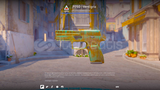 P250 Verdigris Yeşil Skin