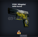 P250 Wingshot Battle Scarred