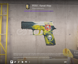 P250 | Wingshot (Minimal Wear)