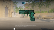 ✨P250 | X Işını✨