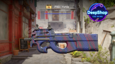 P90 | Teardown (Field-Tested) P90 | Teardown (Field-Tested)