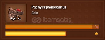 pachycephalosaurus