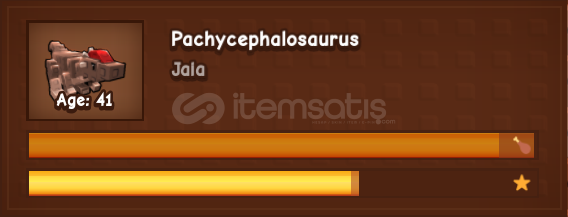 pachycephalosaurus pachycephalosaurus