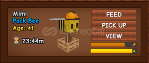 pack bee